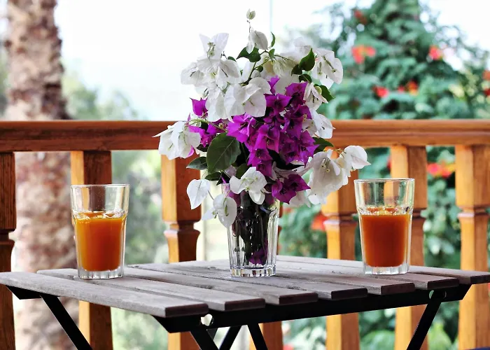 Ayka Hotel Akyaka (Mugla)